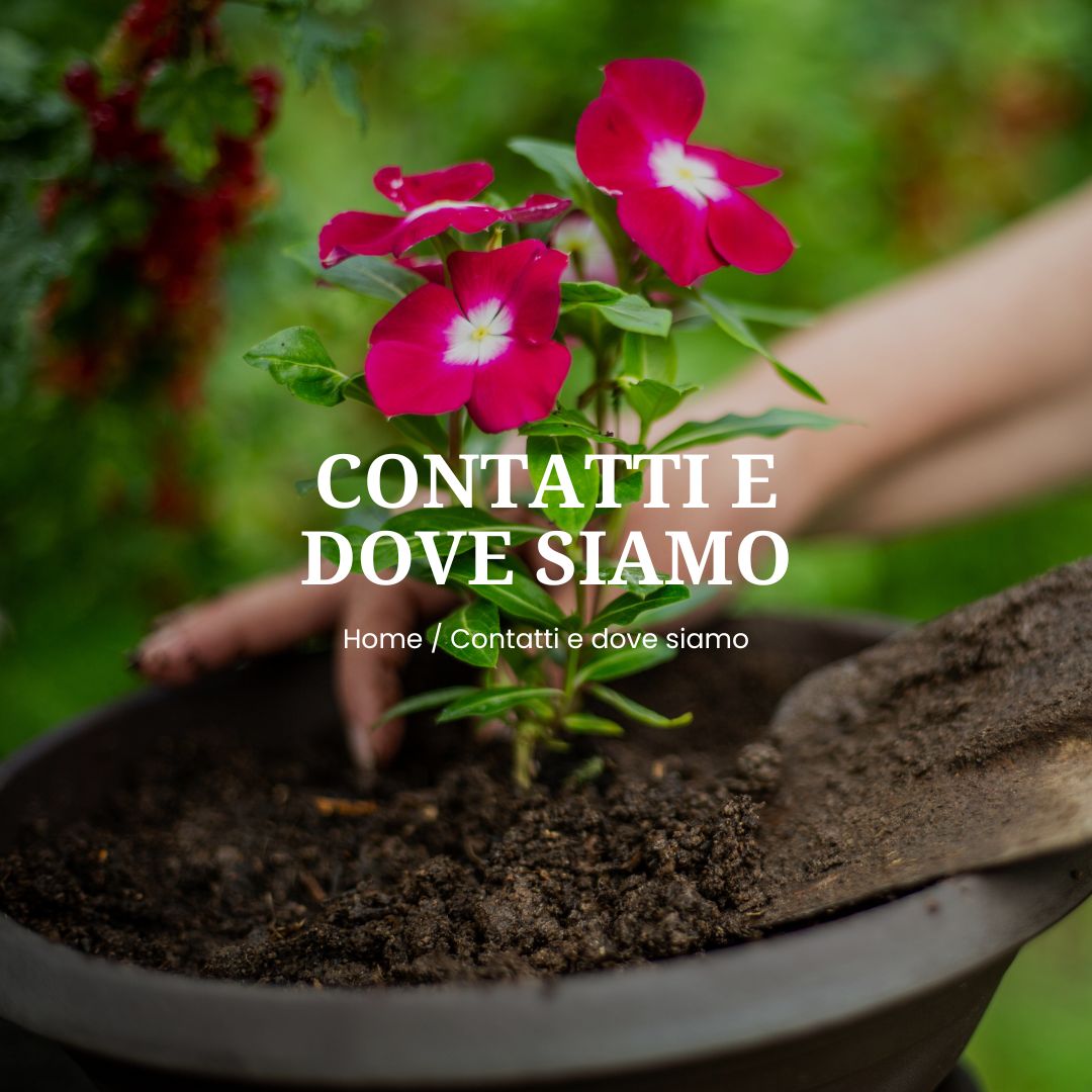 fertilias contatti e dove siamo