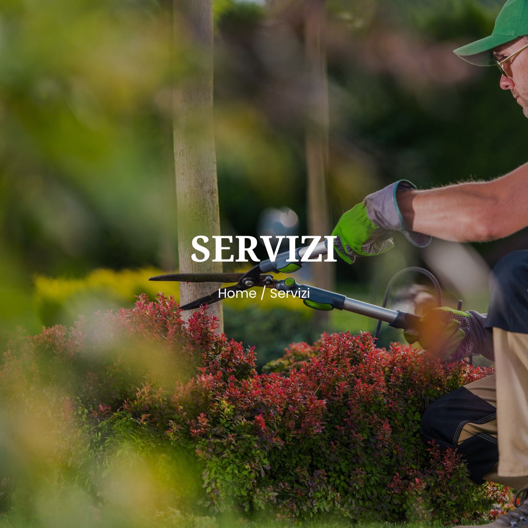 servizi giardinaggio lecce